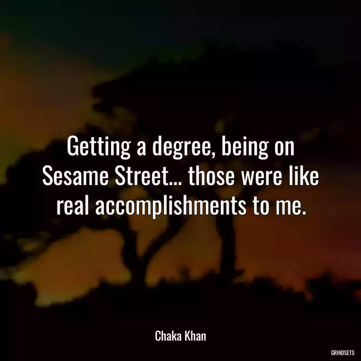 Getting a degree, being on Sesame Street... those were like real accomplishments to me.