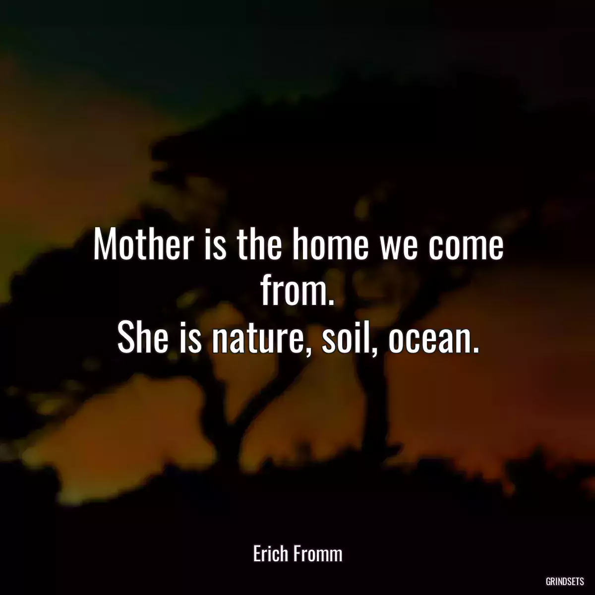 Mother is the home we come from.
She is nature, soil, ocean.