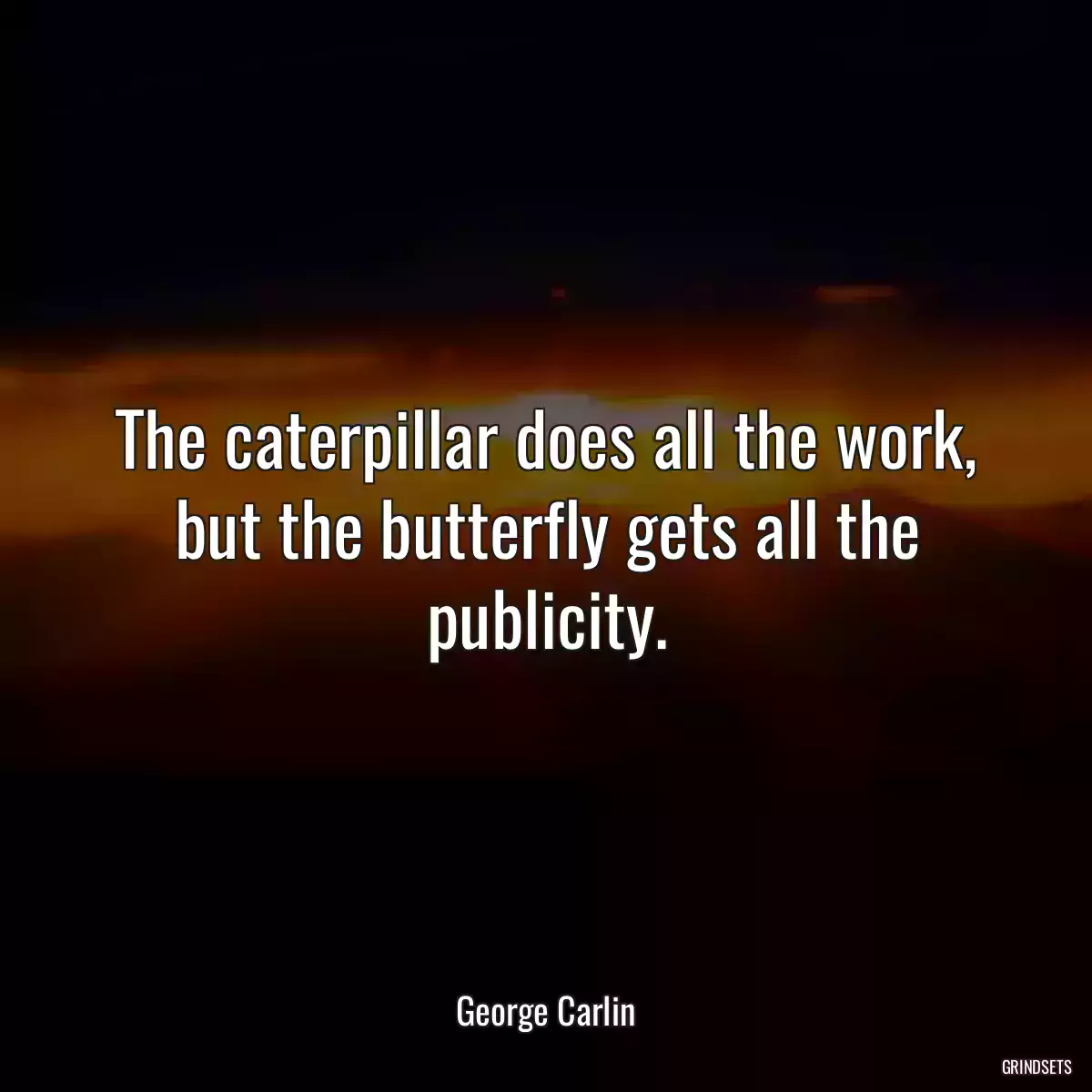 The caterpillar does all the work, but the butterfly gets all the publicity.