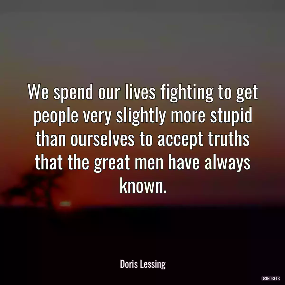 We spend our lives fighting to get people very slightly more stupid than ourselves to accept truths that the great men have always known.