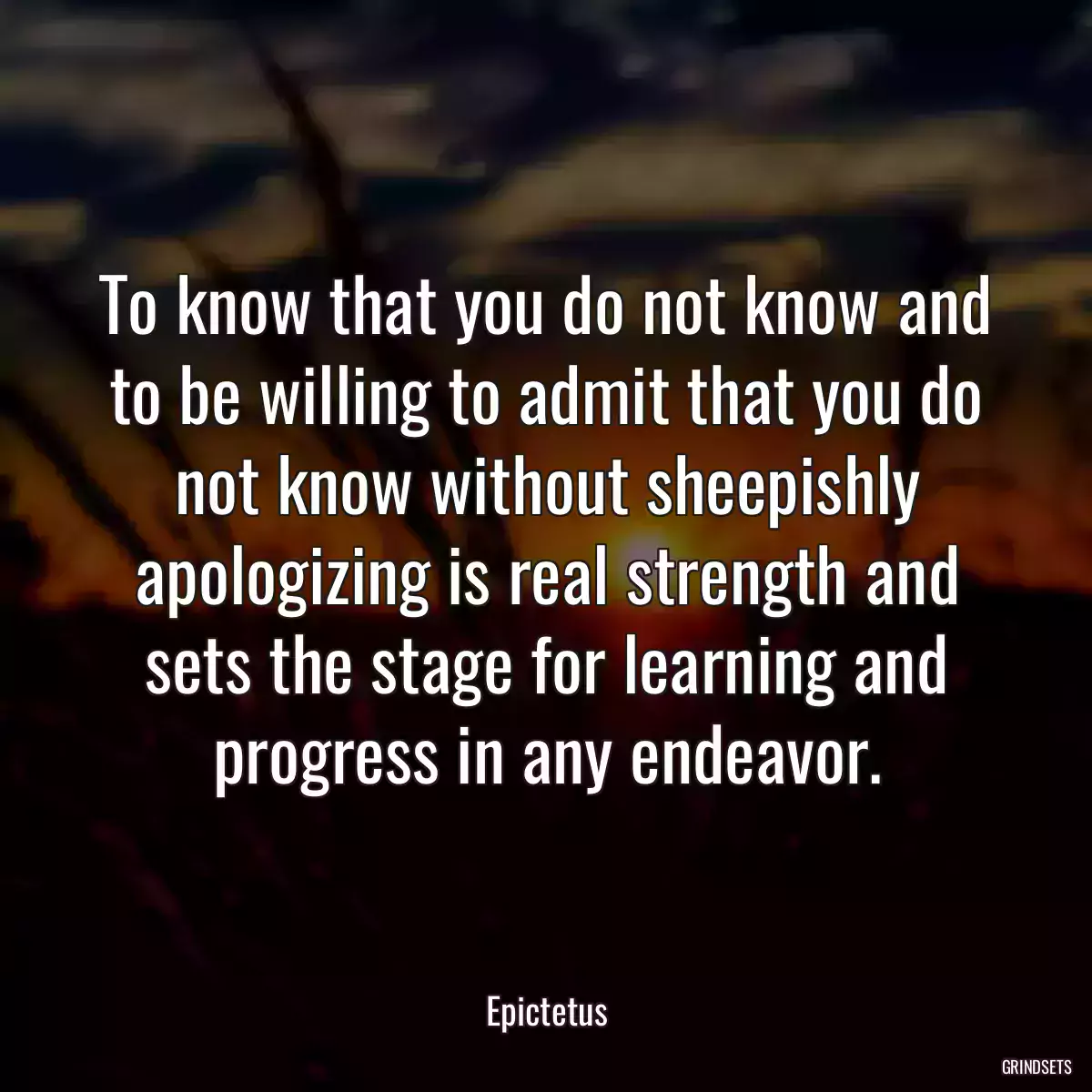 To know that you do not know and to be willing to admit that you do not know without sheepishly apologizing is real strength and sets the stage for learning and progress in any endeavor.