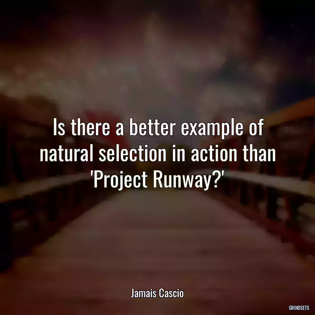 Is there a better example of natural selection in action than \'Project Runway?\'