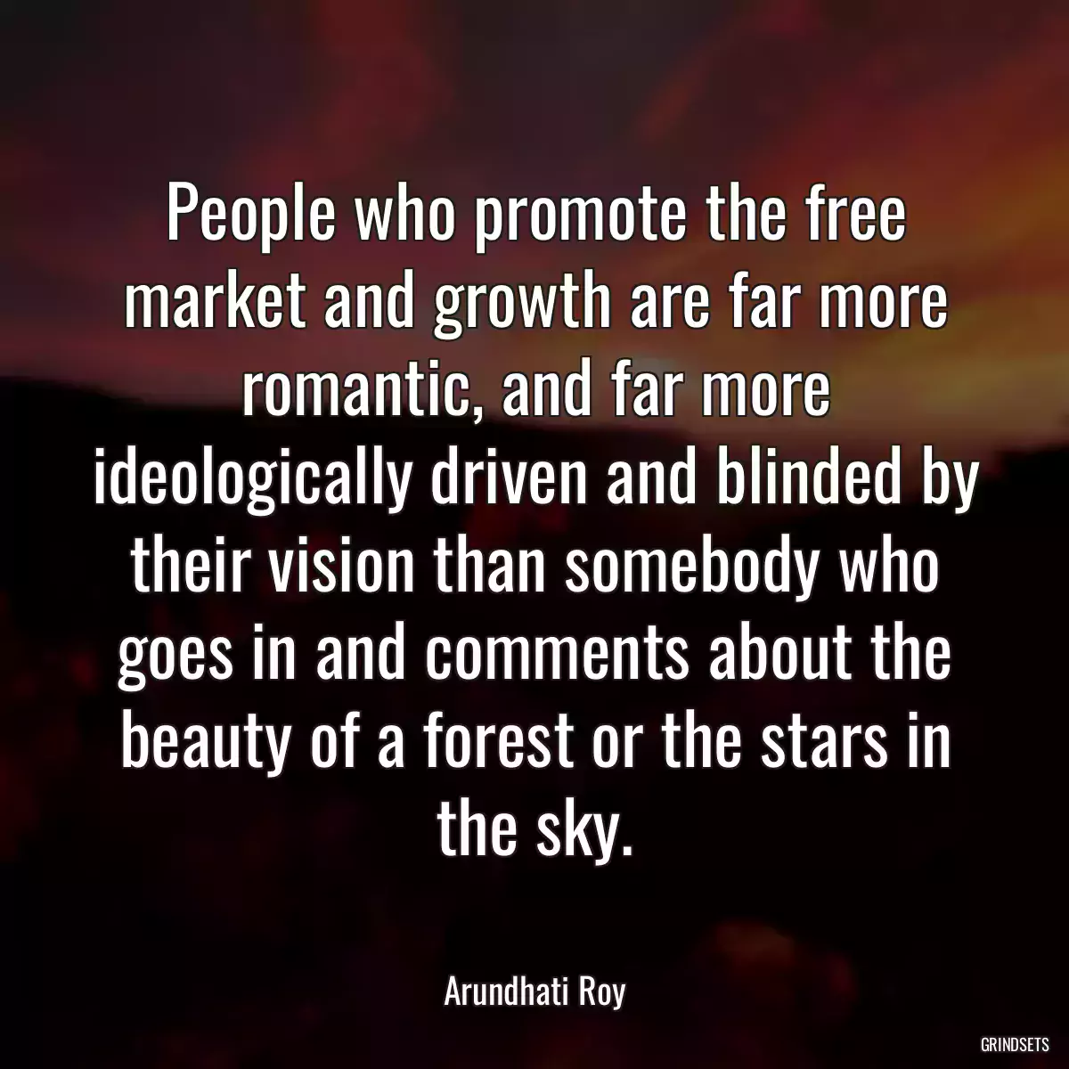 People who promote the free market and growth are far more romantic, and far more ideologically driven and blinded by their vision than somebody who goes in and comments about the beauty of a forest or the stars in the sky.