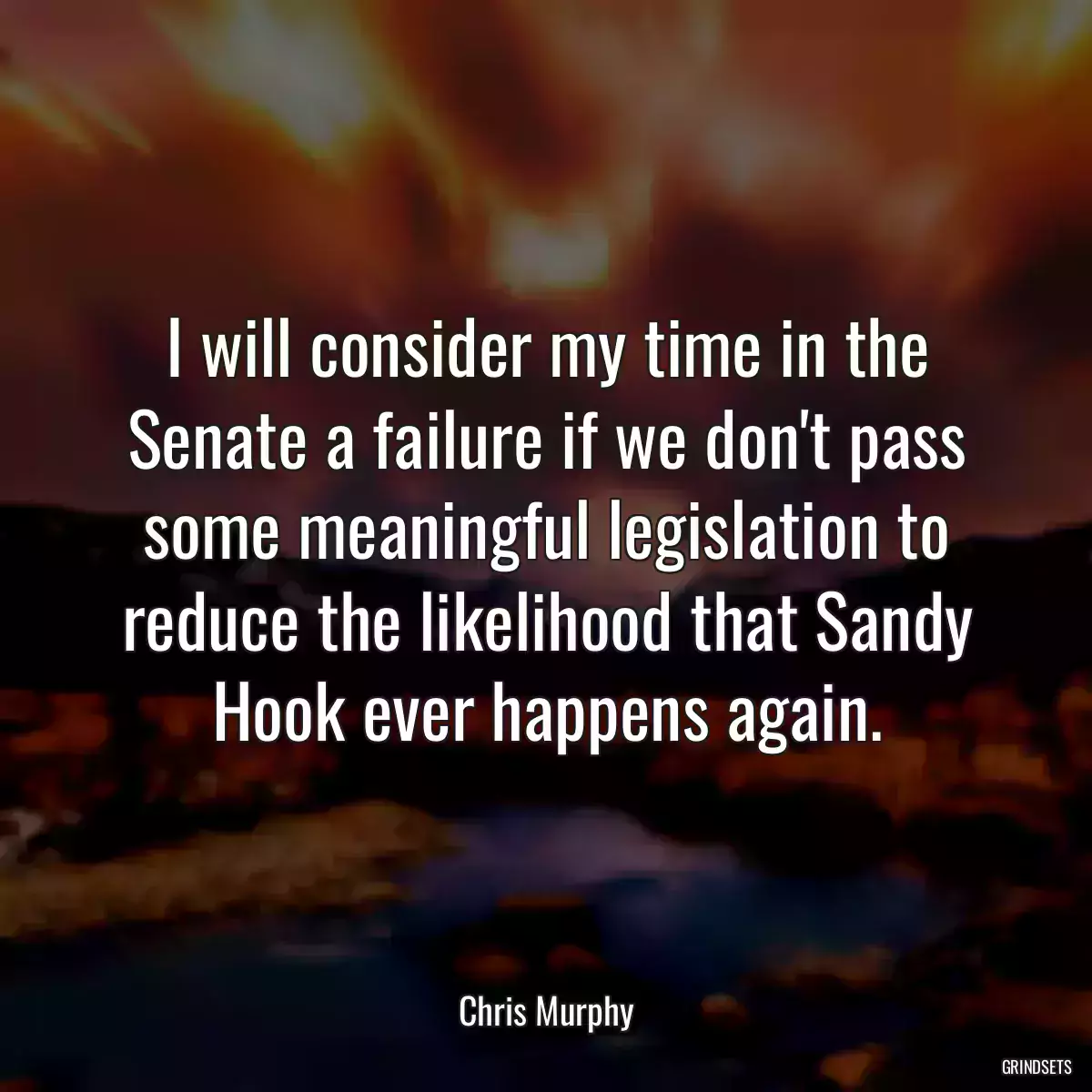 I will consider my time in the Senate a failure if we don\'t pass some meaningful legislation to reduce the likelihood that Sandy Hook ever happens again.