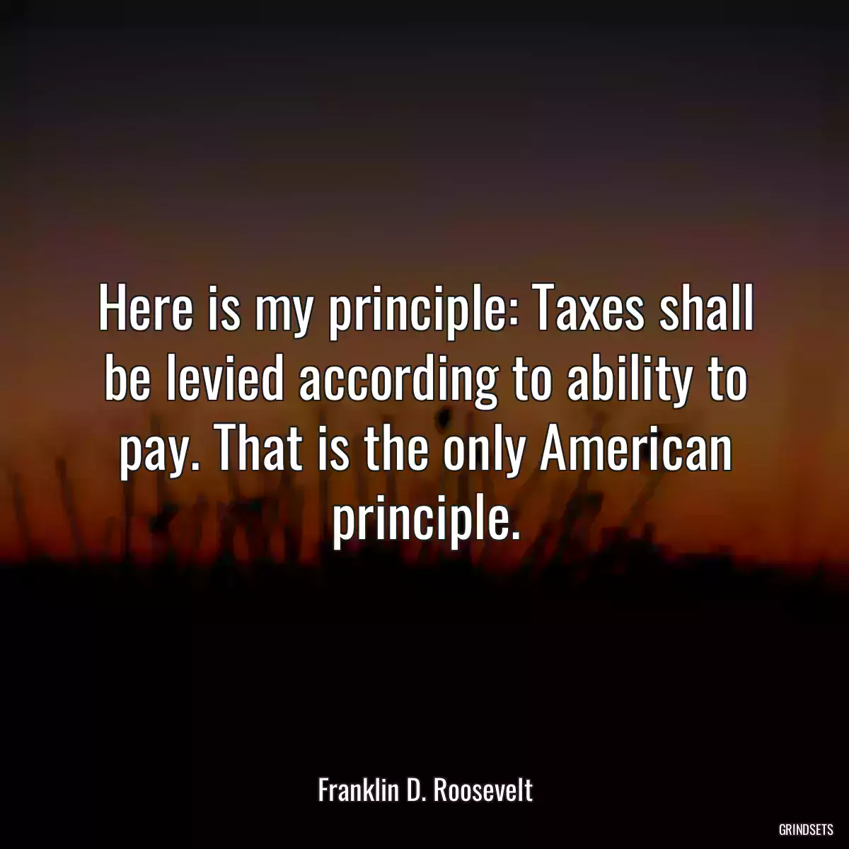 Here is my principle: Taxes shall be levied according to ability to pay. That is the only American principle.