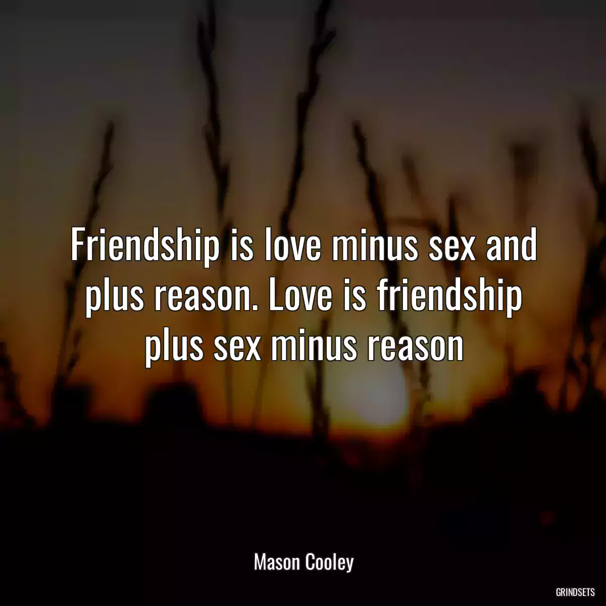 Friendship is love minus sex and plus reason. Love is friendship plus sex minus reason