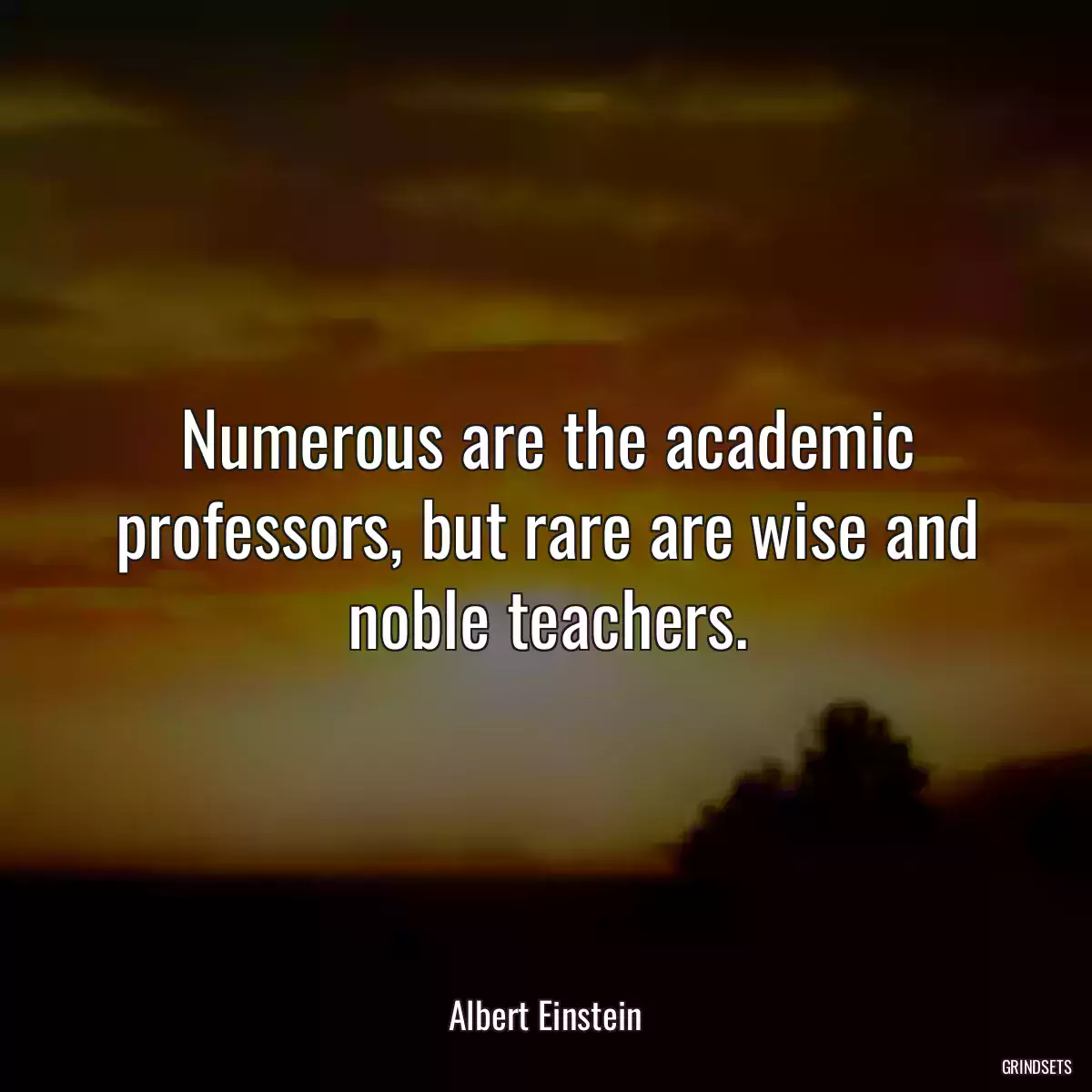 Numerous are the academic professors, but rare are wise and noble teachers.