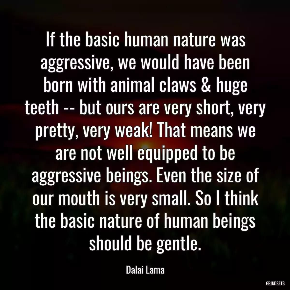 If the basic human nature was aggressive, we would have been born with animal claws & huge teeth -- but ours are very short, very pretty, very weak! That means we are not well equipped to be aggressive beings. Even the size of our mouth is very small. So I think the basic nature of human beings should be gentle.