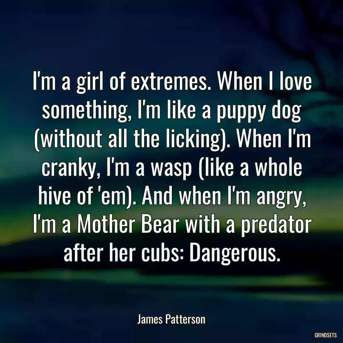 I\'m a girl of extremes. When I love something, I\'m like a puppy dog (without all the licking). When I\'m cranky, I\'m a wasp (like a whole hive of \'em). And when I\'m angry, I\'m a Mother Bear with a predator after her cubs: Dangerous.