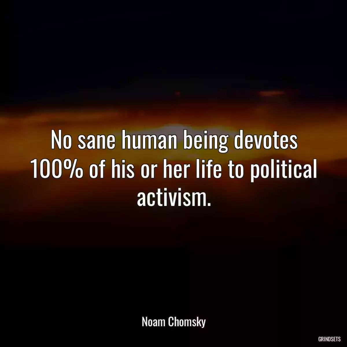 No sane human being devotes 100% of his or her life to political activism.