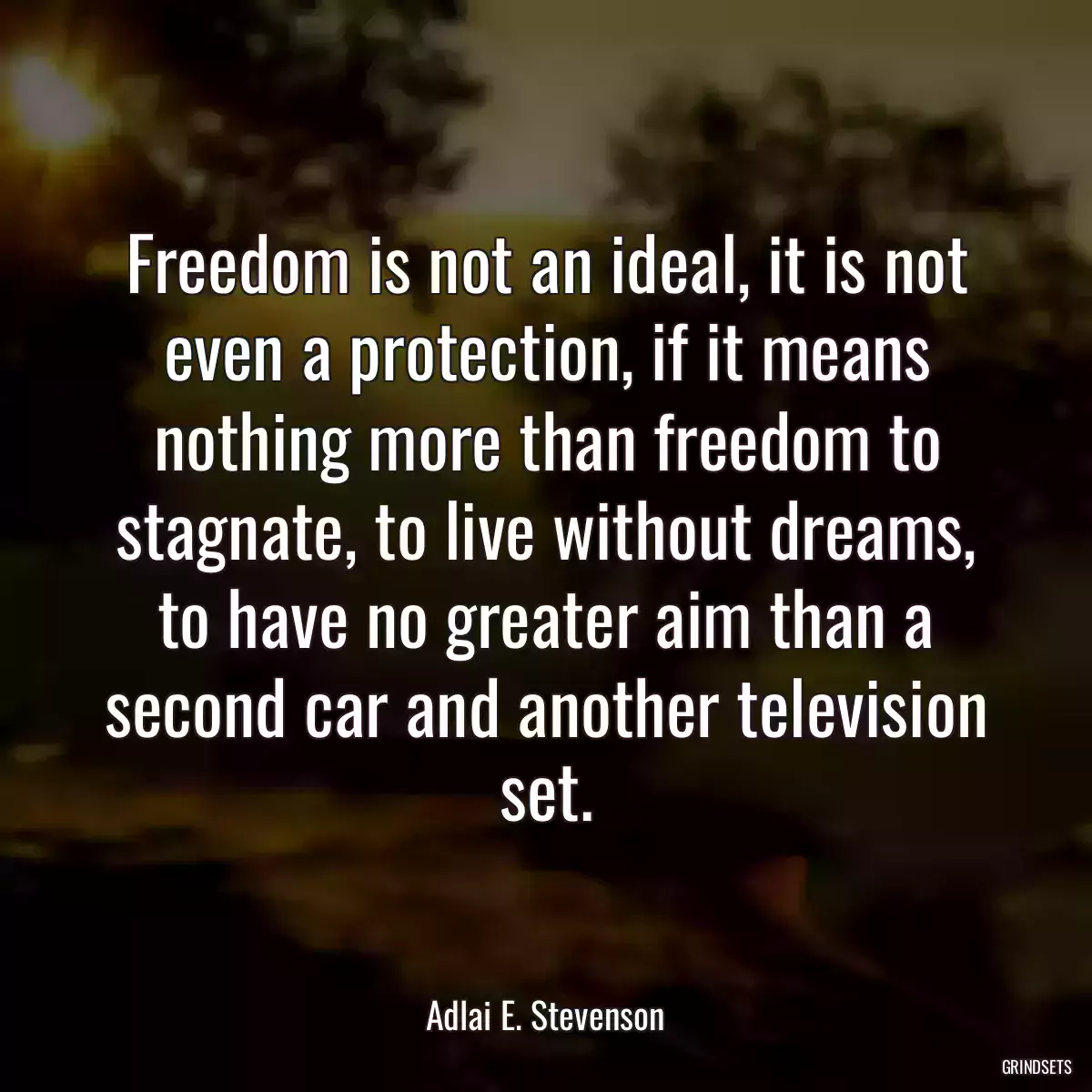 Freedom is not an ideal, it is not even a protection, if it means nothing more than freedom to stagnate, to live without dreams, to have no greater aim than a second car and another television set.