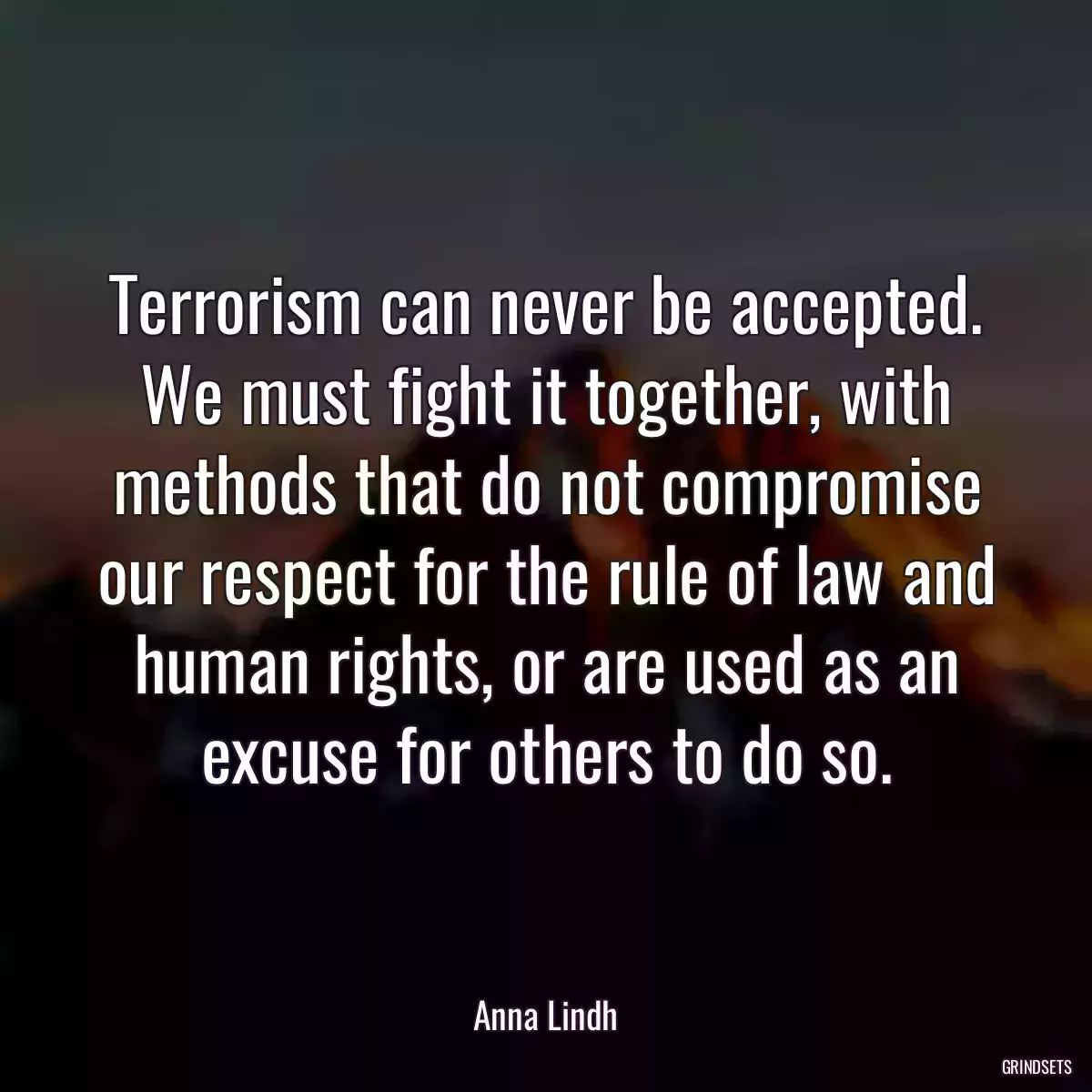 Terrorism can never be accepted. We must fight it together, with methods that do not compromise our respect for the rule of law and human rights, or are used as an excuse for others to do so.