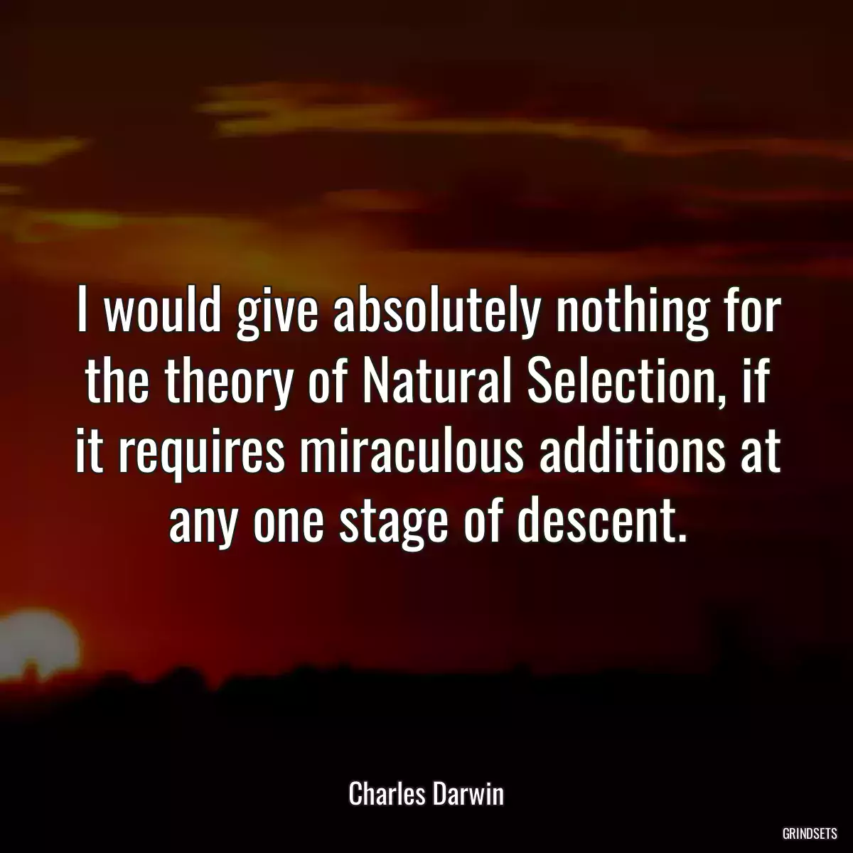 I would give absolutely nothing for the theory of Natural Selection, if it requires miraculous additions at any one stage of descent.