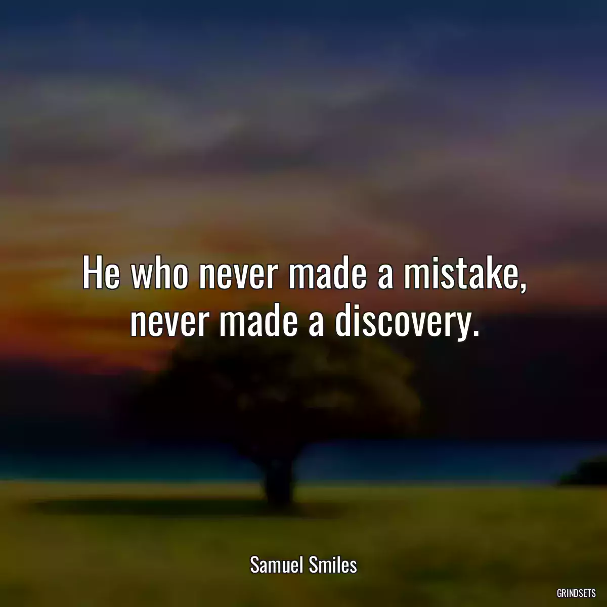 He who never made a mistake, never made a discovery.