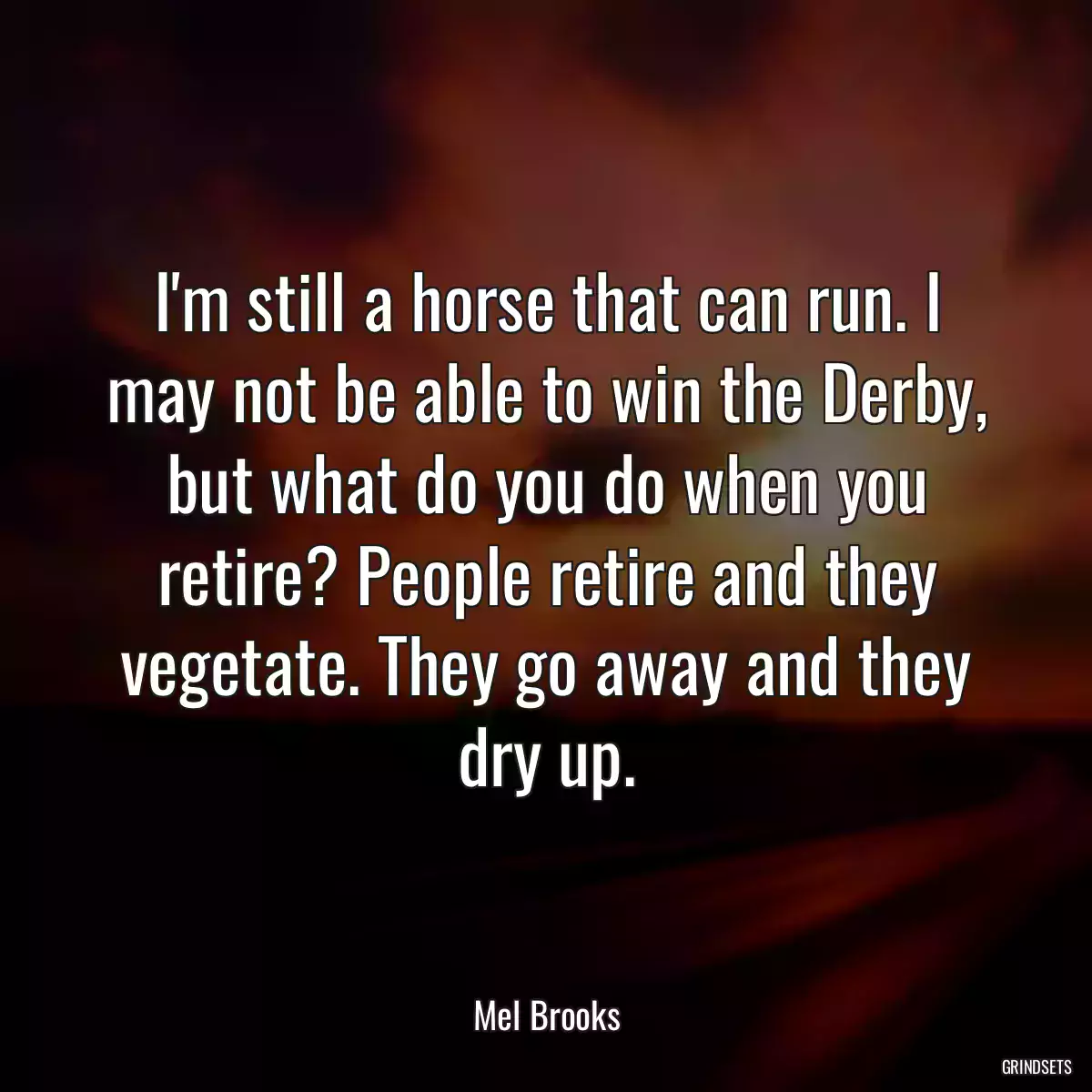 I\'m still a horse that can run. I may not be able to win the Derby, but what do you do when you retire? People retire and they vegetate. They go away and they dry up.