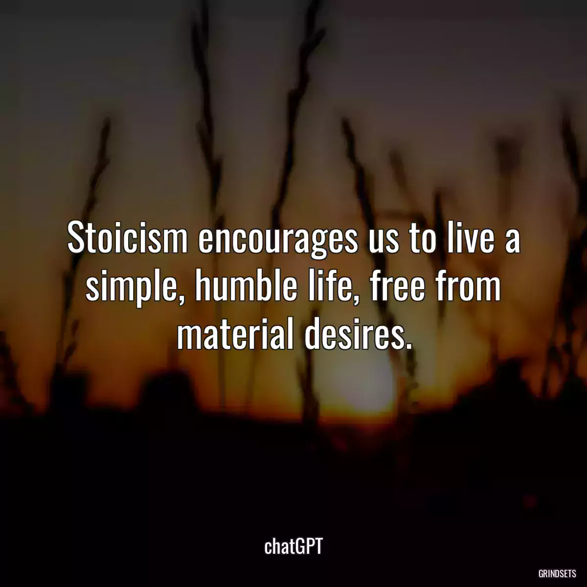 Stoicism encourages us to live a simple, humble life, free from material desires.