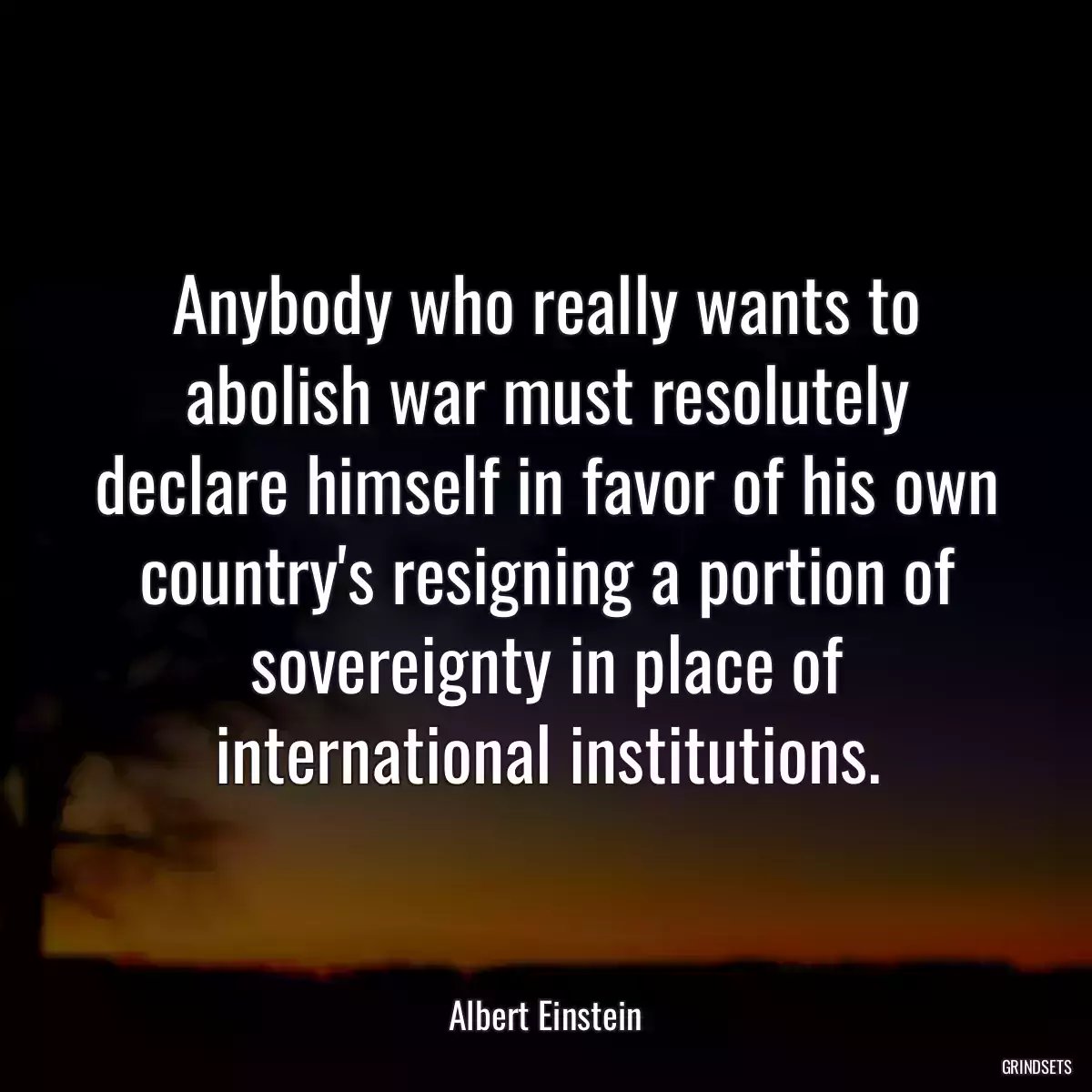 Anybody who really wants to abolish war must resolutely declare himself in favor of his own country\'s resigning a portion of sovereignty in place of international institutions.