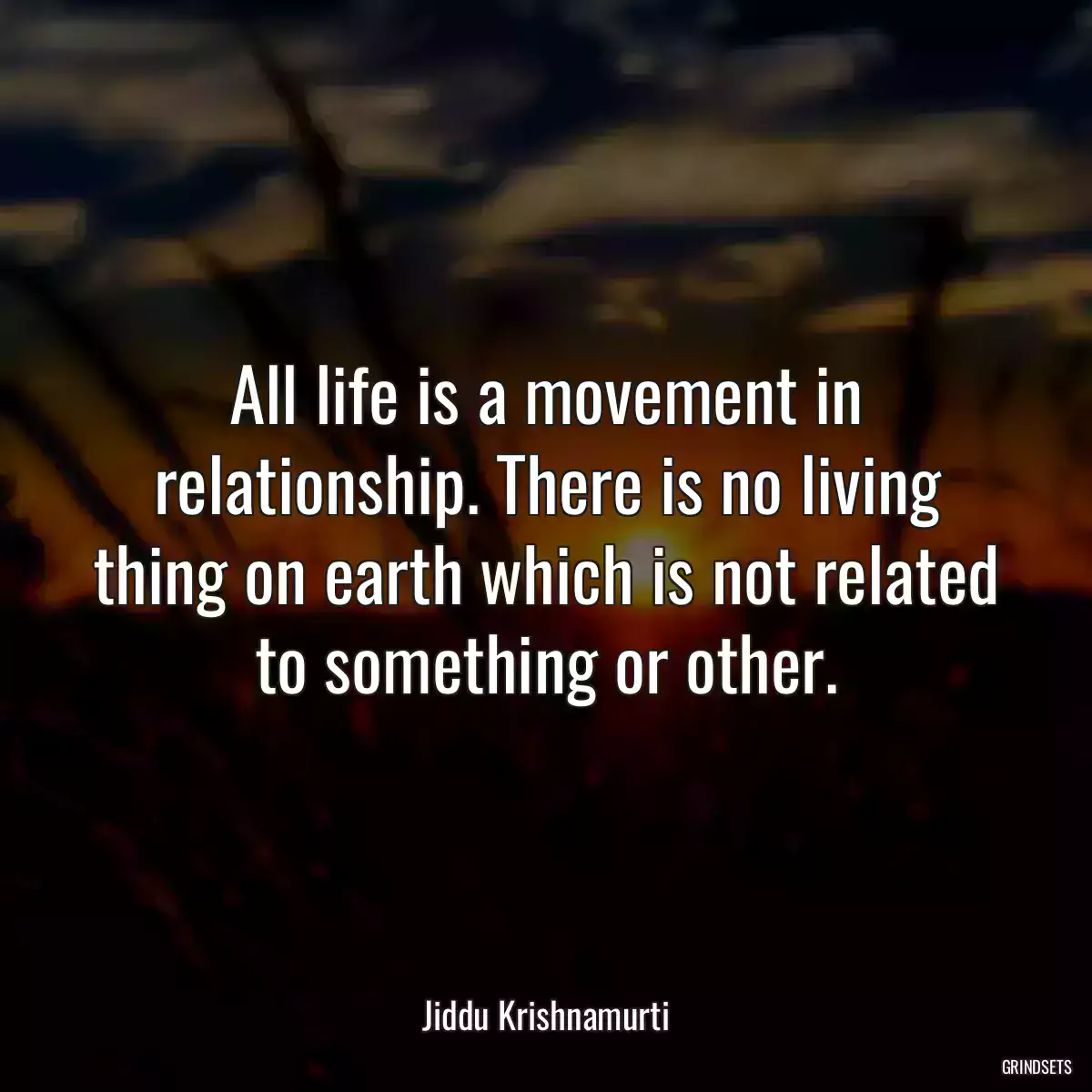 All life is a movement in relationship. There is no living thing on earth which is not related to something or other.