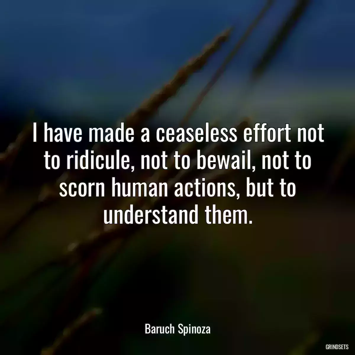 I have made a ceaseless effort not to ridicule, not to bewail, not to scorn human actions, but to understand them.