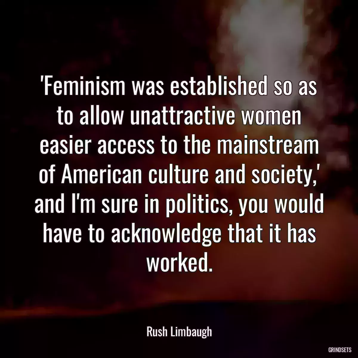 \'Feminism was established so as to allow unattractive women easier access to the mainstream of American culture and society,\' and I\'m sure in politics, you would have to acknowledge that it has worked.