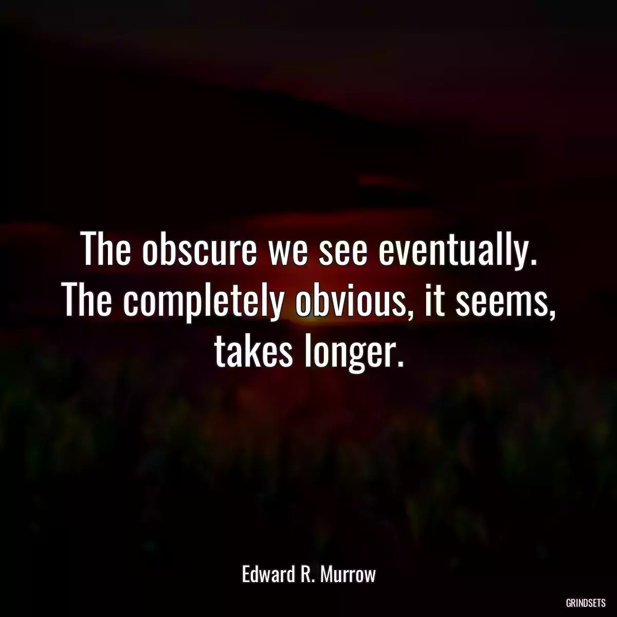 The obscure we see eventually. The completely obvious, it seems, takes longer.