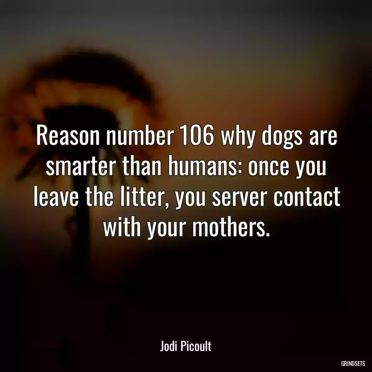 Reason number 106 why dogs are smarter than humans: once you leave the litter, you server contact with your mothers.