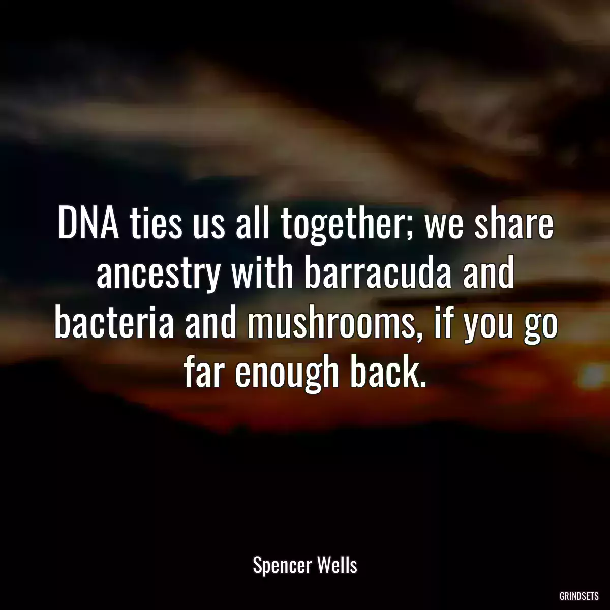 DNA ties us all together; we share ancestry with barracuda and bacteria and mushrooms, if you go far enough back.