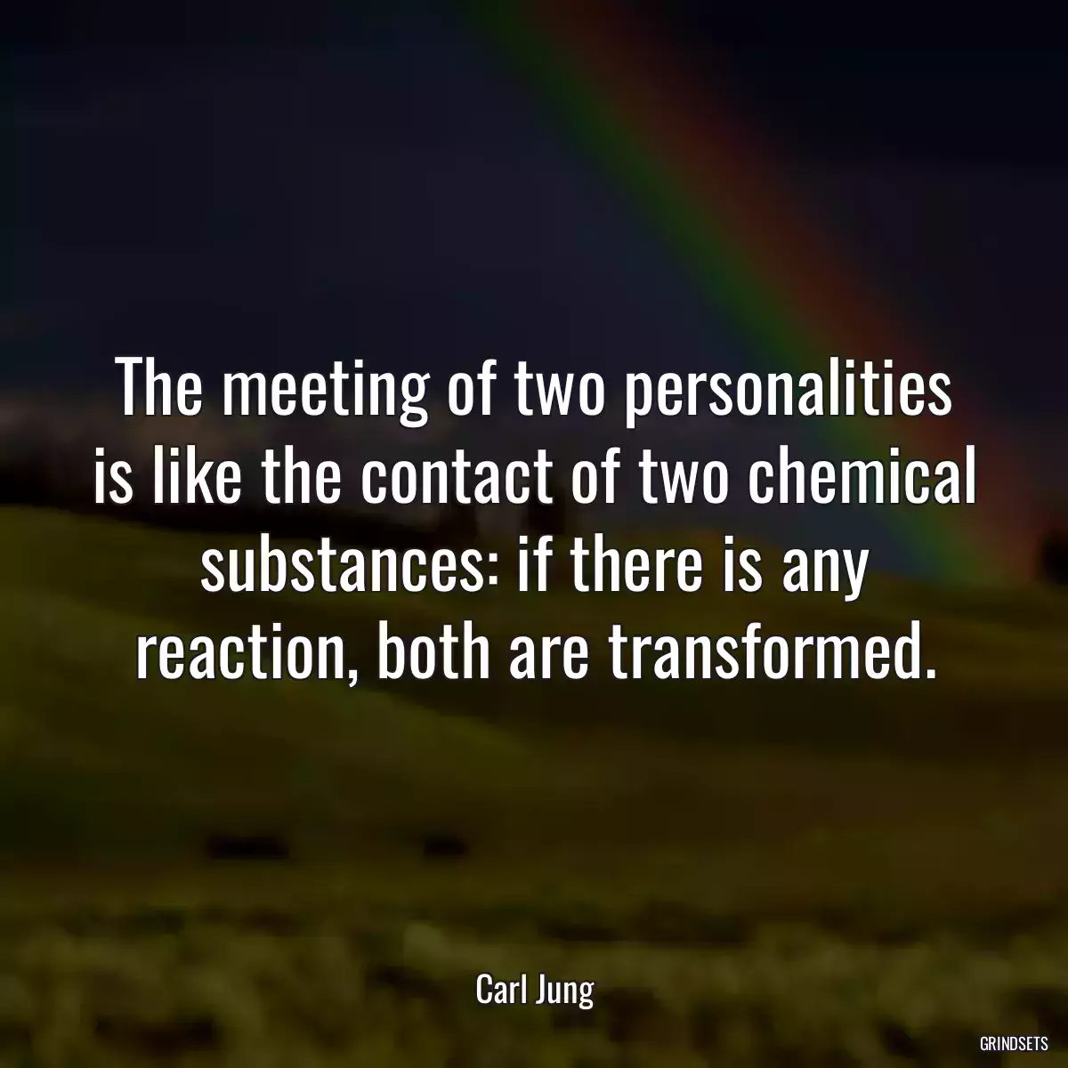 The meeting of two personalities is like the contact of two chemical substances: if there is any reaction, both are transformed.