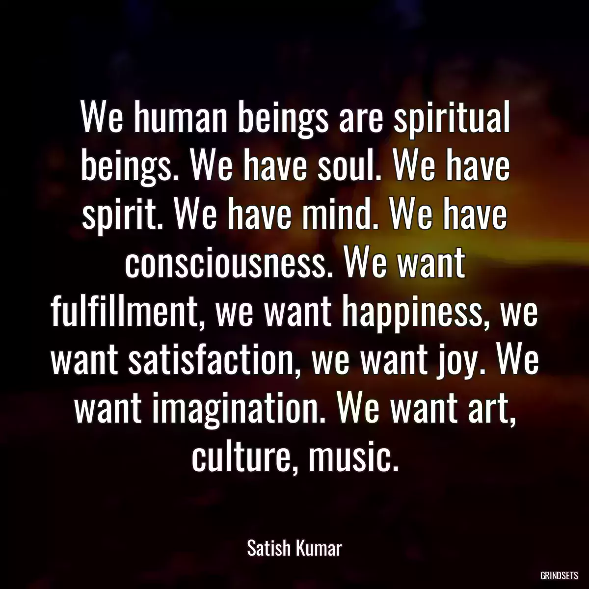 We human beings are spiritual beings. We have soul. We have spirit. We have mind. We have consciousness. We want fulfillment, we want happiness, we want satisfaction, we want joy. We want imagination. We want art, culture, music.