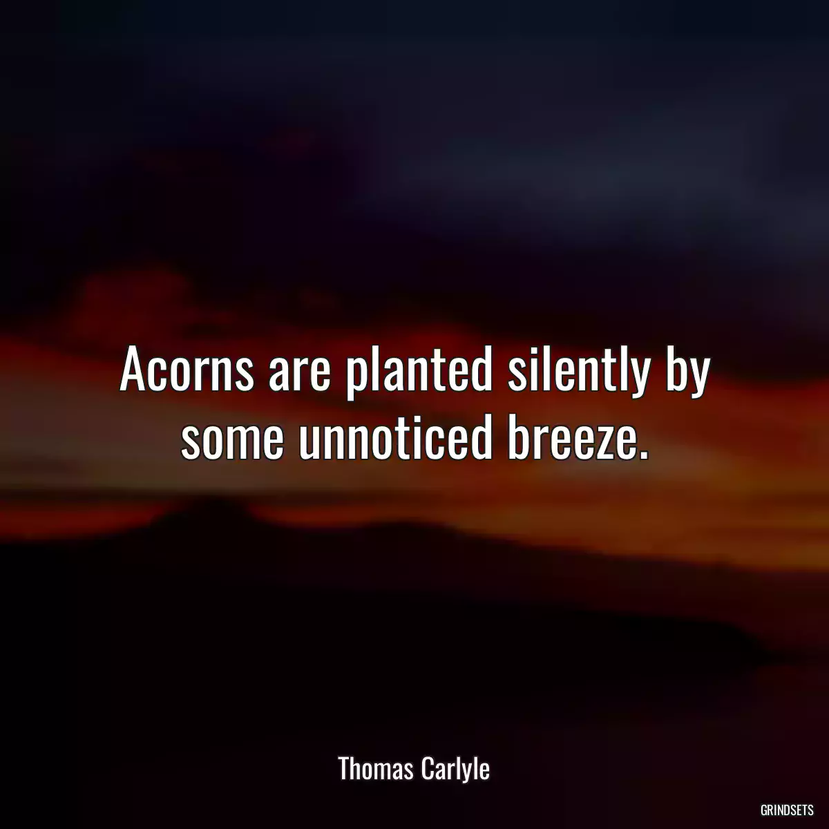 Acorns are planted silently by some unnoticed breeze.