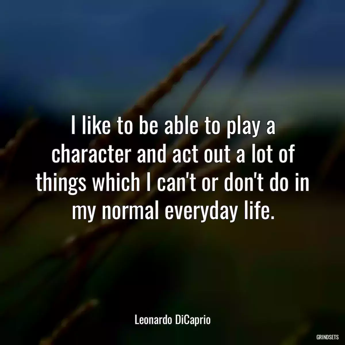 I like to be able to play a character and act out a lot of things which I can\'t or don\'t do in my normal everyday life.