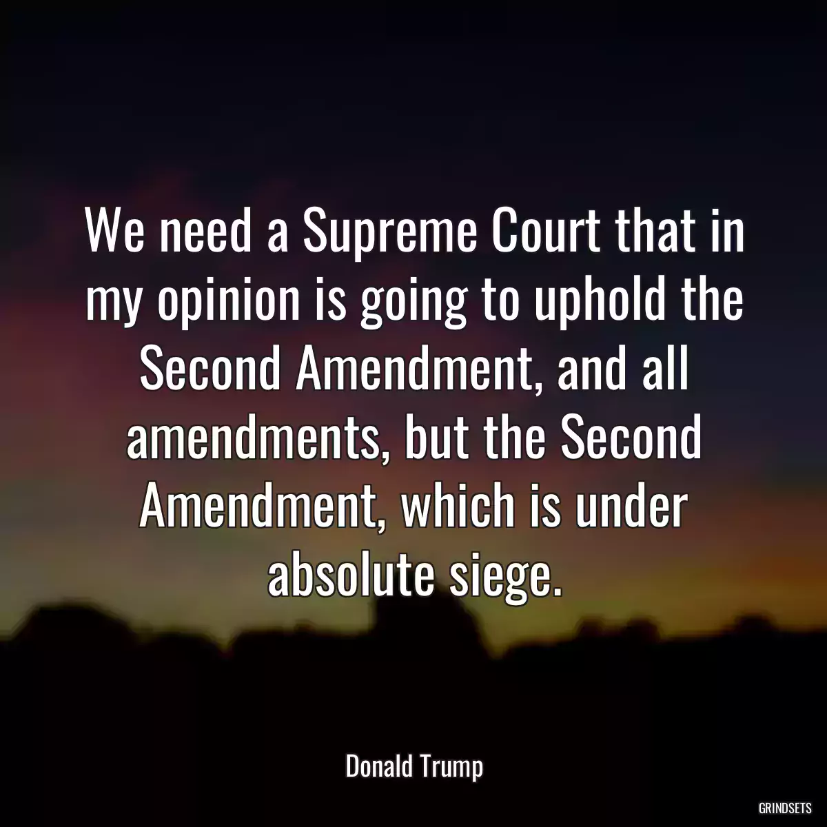 We need a Supreme Court that in my opinion is going to uphold the Second Amendment, and all amendments, but the Second Amendment, which is under absolute siege.