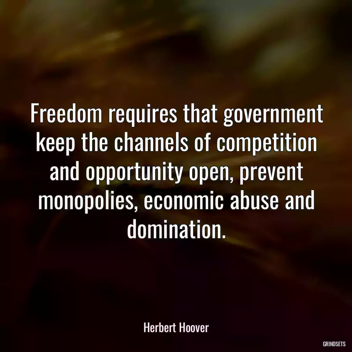 Freedom requires that government keep the channels of competition and opportunity open, prevent monopolies, economic abuse and domination.