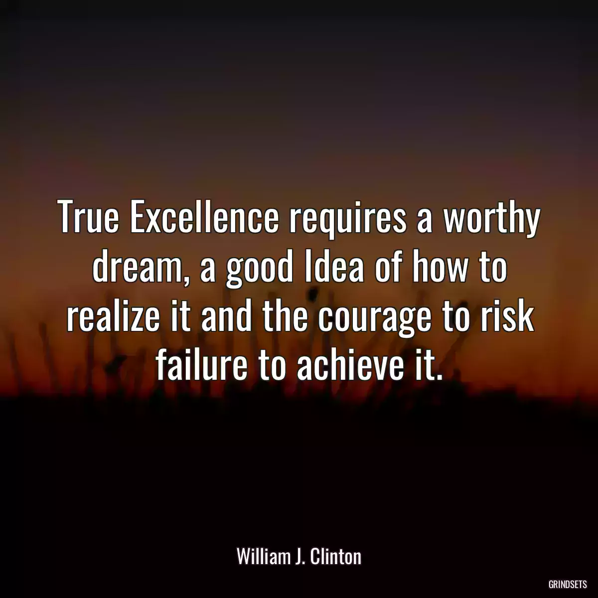 True Excellence requires a worthy dream, a good Idea of how to realize it and the courage to risk failure to achieve it.