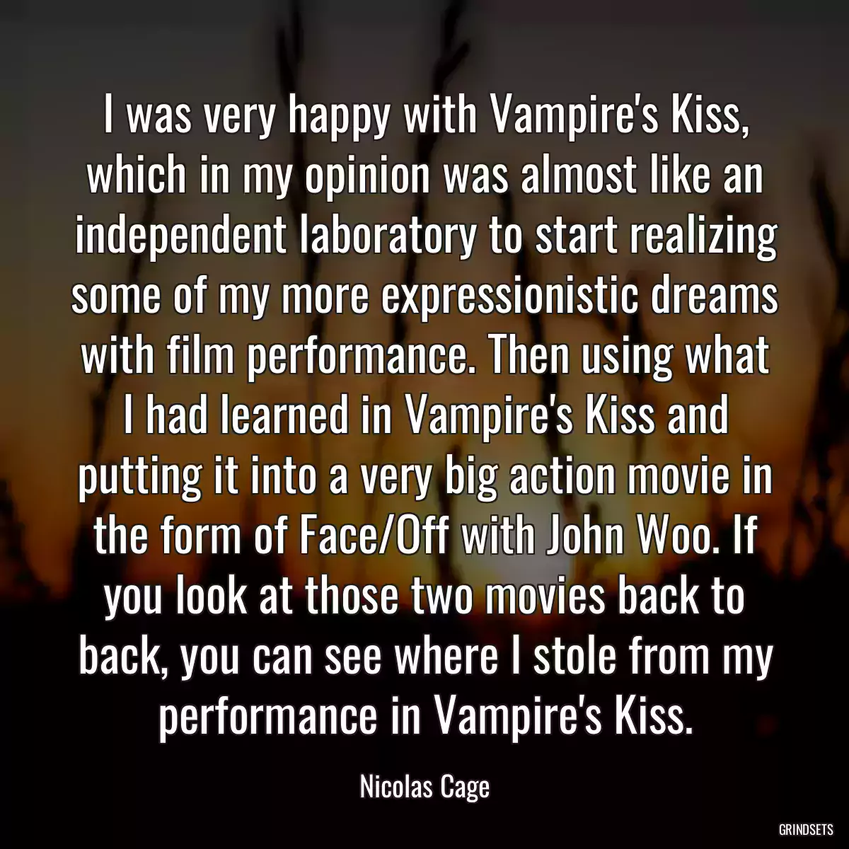 I was very happy with Vampire\'s Kiss, which in my opinion was almost like an independent laboratory to start realizing some of my more expressionistic dreams with film performance. Then using what I had learned in Vampire\'s Kiss and putting it into a very big action movie in the form of Face/Off with John Woo. If you look at those two movies back to back, you can see where I stole from my performance in Vampire\'s Kiss.