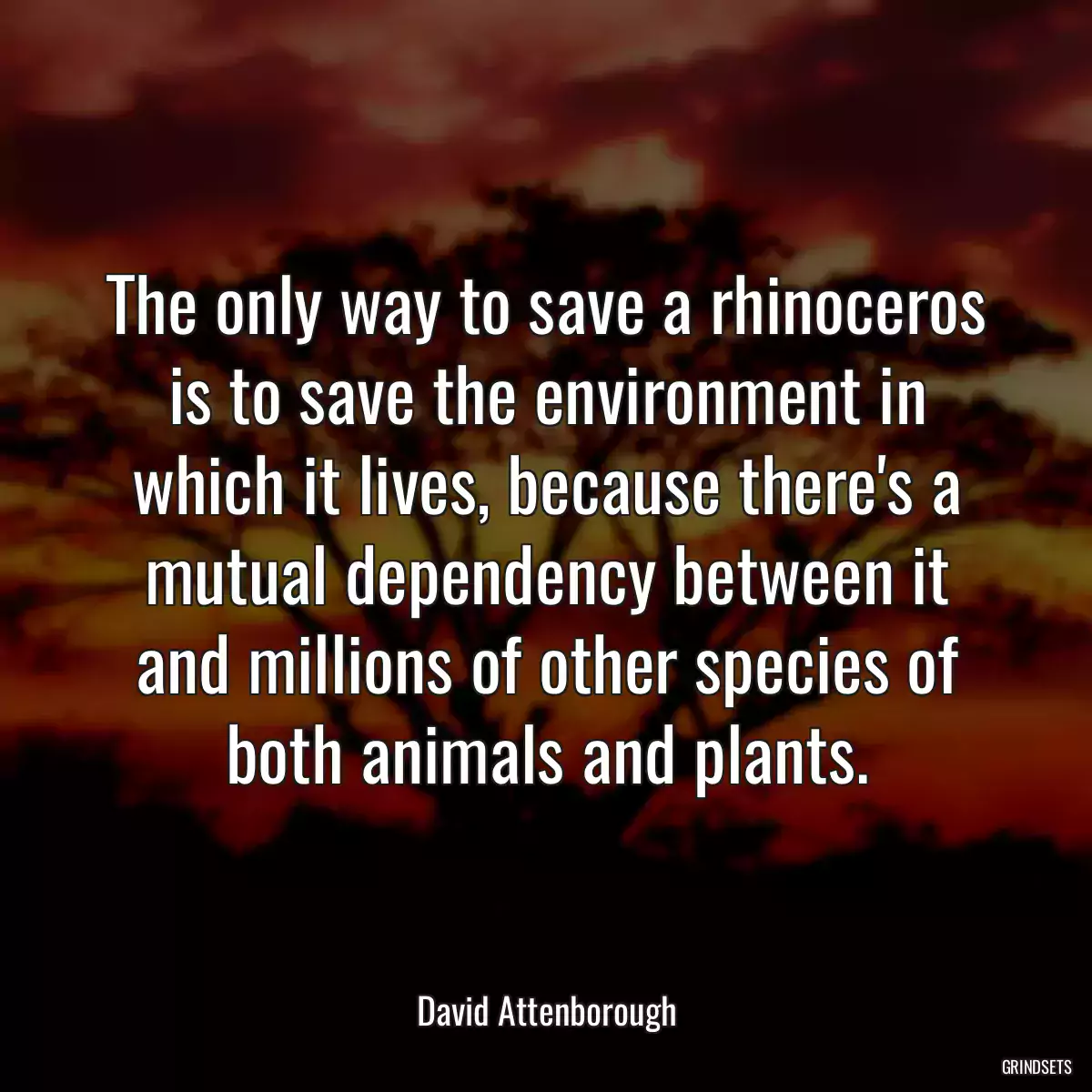 The only way to save a rhinoceros is to save the environment in which it lives, because there\'s a mutual dependency between it and millions of other species of both animals and plants.