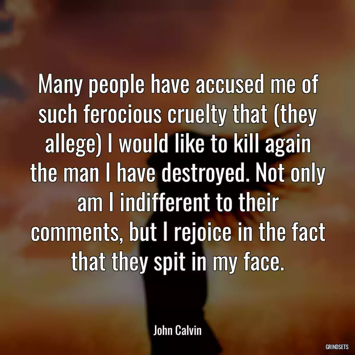 Many people have accused me of such ferocious cruelty that (they allege) I would like to kill again the man I have destroyed. Not only am I indifferent to their comments, but I rejoice in the fact that they spit in my face.