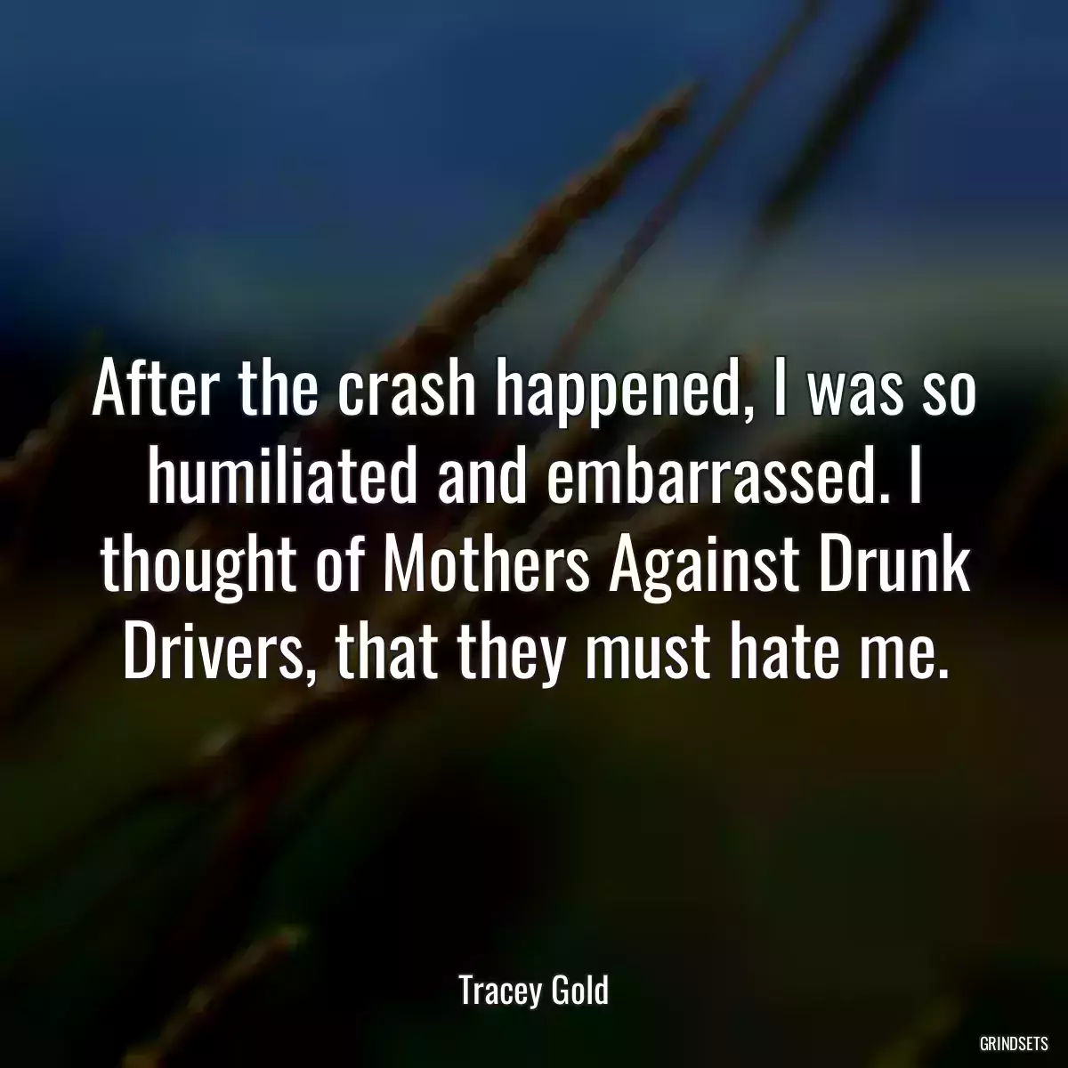 After the crash happened, I was so humiliated and embarrassed. I thought of Mothers Against Drunk Drivers, that they must hate me.