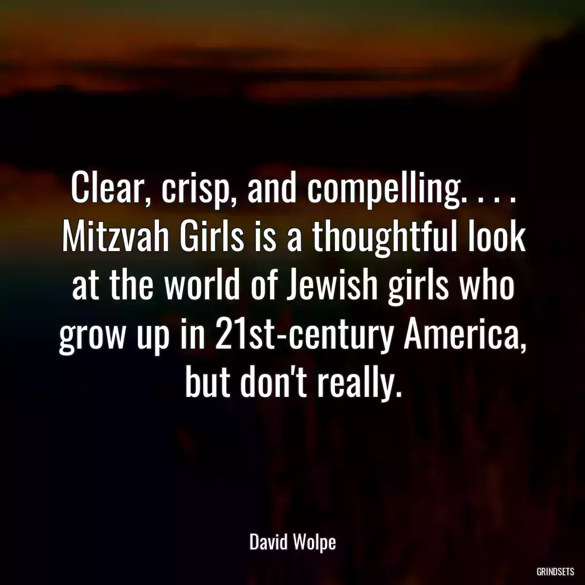 Clear, crisp, and compelling. . . . Mitzvah Girls is a thoughtful look at the world of Jewish girls who grow up in 21st-century America, but don\'t really.