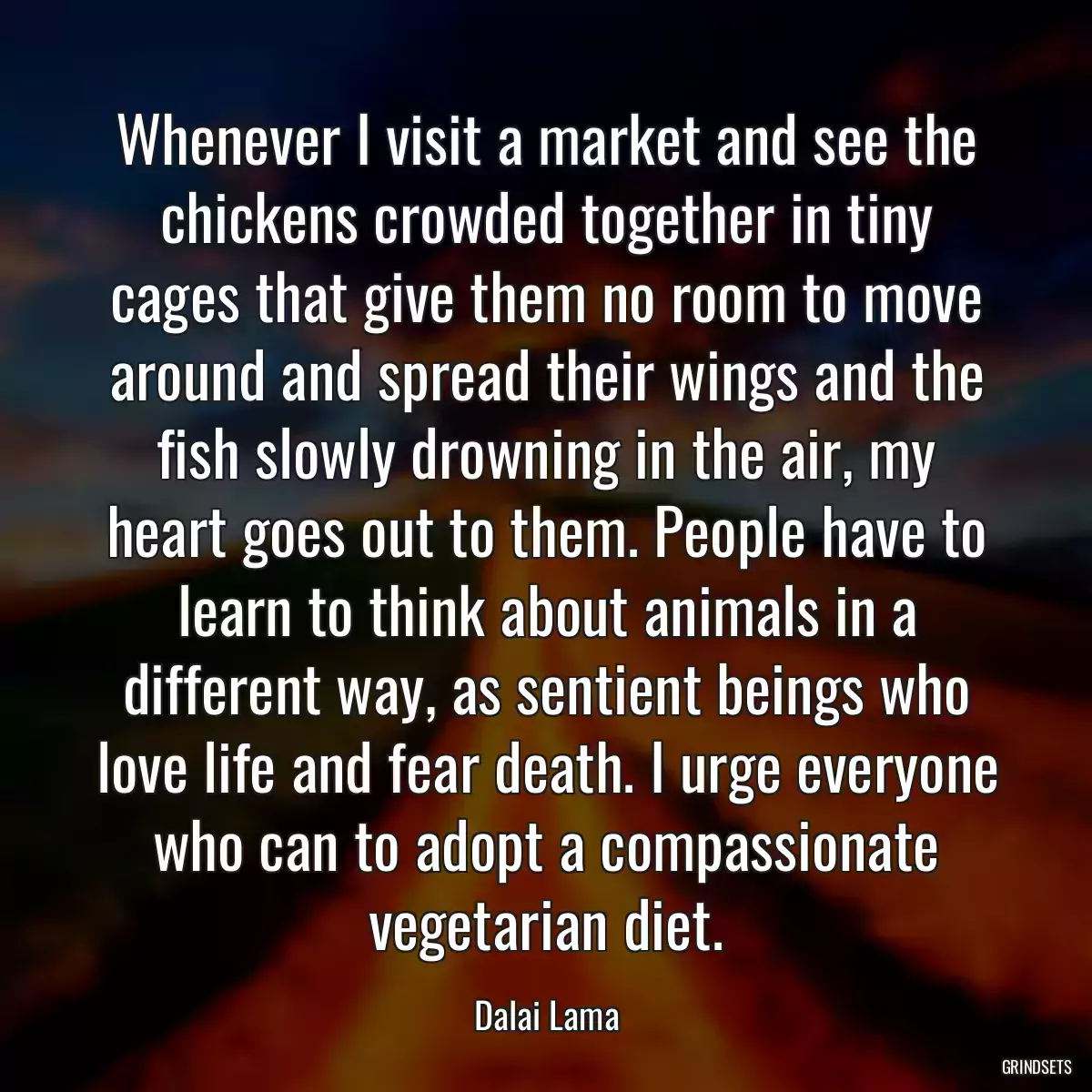 Whenever I visit a market and see the chickens crowded together in tiny cages that give them no room to move around and spread their wings and the fish slowly drowning in the air, my heart goes out to them. People have to learn to think about animals in a different way, as sentient beings who love life and fear death. I urge everyone who can to adopt a compassionate vegetarian diet.