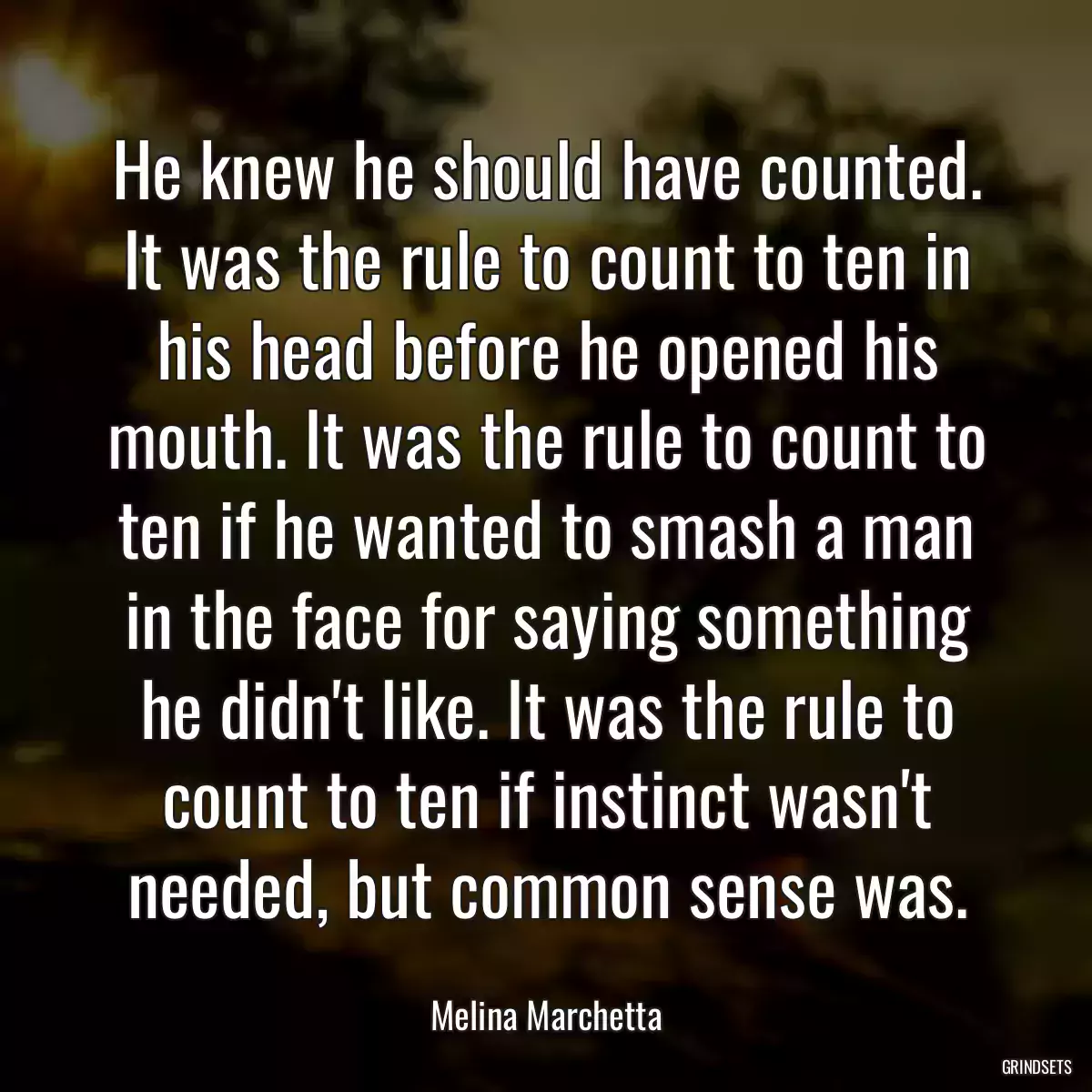 He knew he should have counted. It was the rule to count to ten in his head before he opened his mouth. It was the rule to count to ten if he wanted to smash a man in the face for saying something he didn\'t like. It was the rule to count to ten if instinct wasn\'t needed, but common sense was.