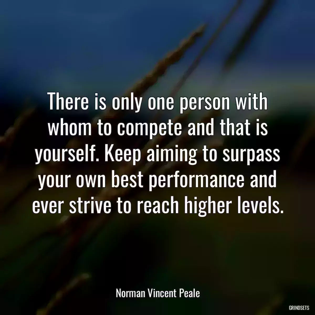 There is only one person with whom to compete and that is yourself. Keep aiming to surpass your own best performance and ever strive to reach higher levels.