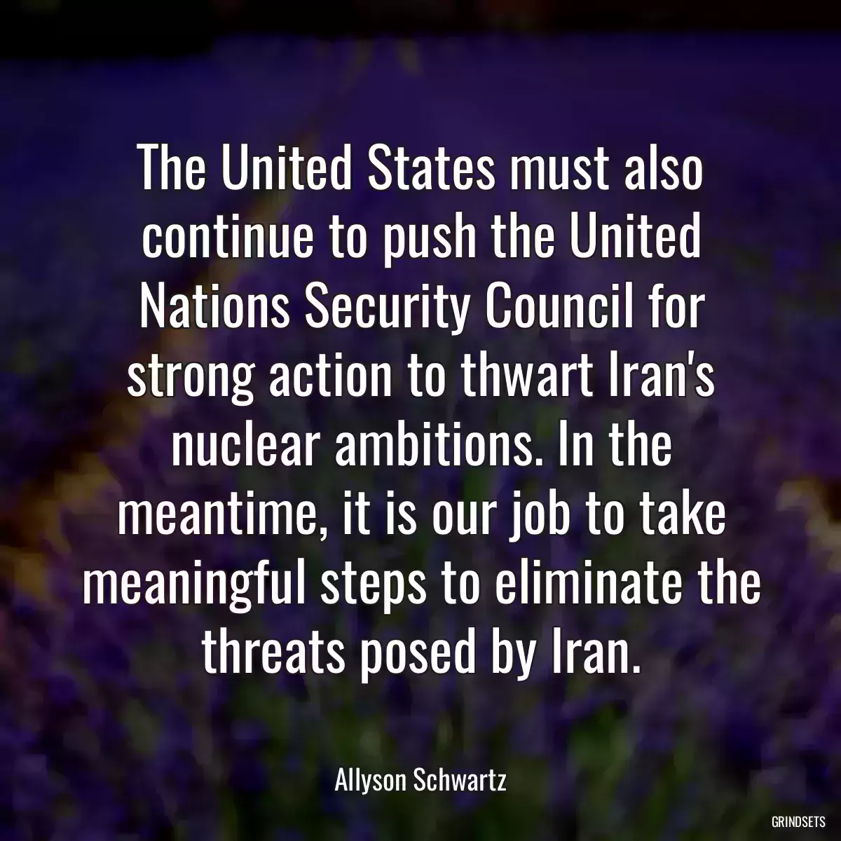 The United States must also continue to push the United Nations Security Council for strong action to thwart Iran\'s nuclear ambitions. In the meantime, it is our job to take meaningful steps to eliminate the threats posed by Iran.