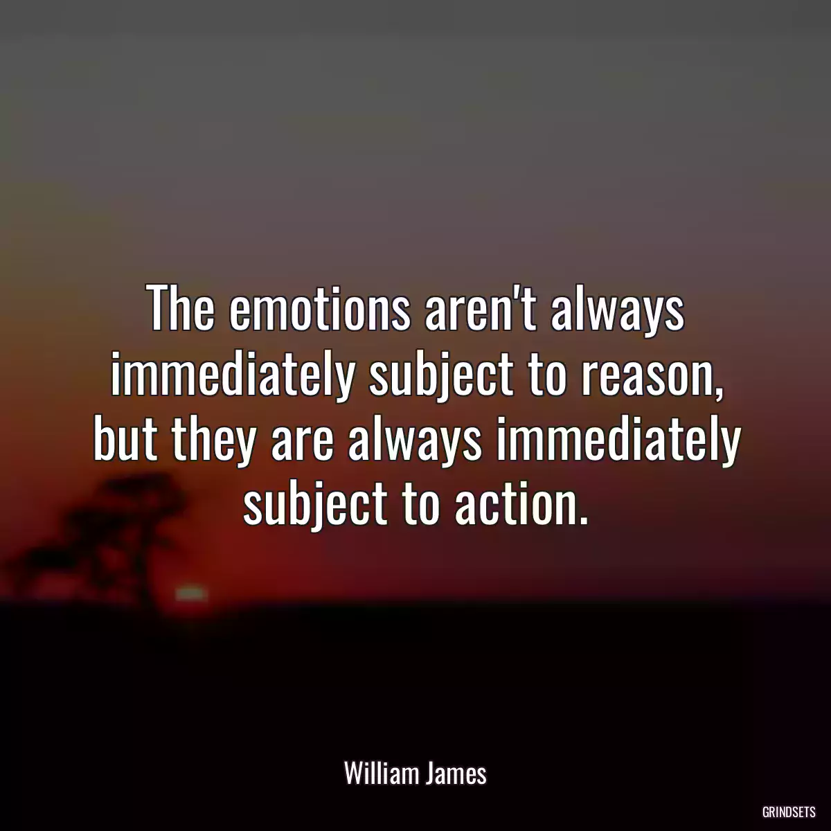 The emotions aren\'t always immediately subject to reason, but they are always immediately subject to action.