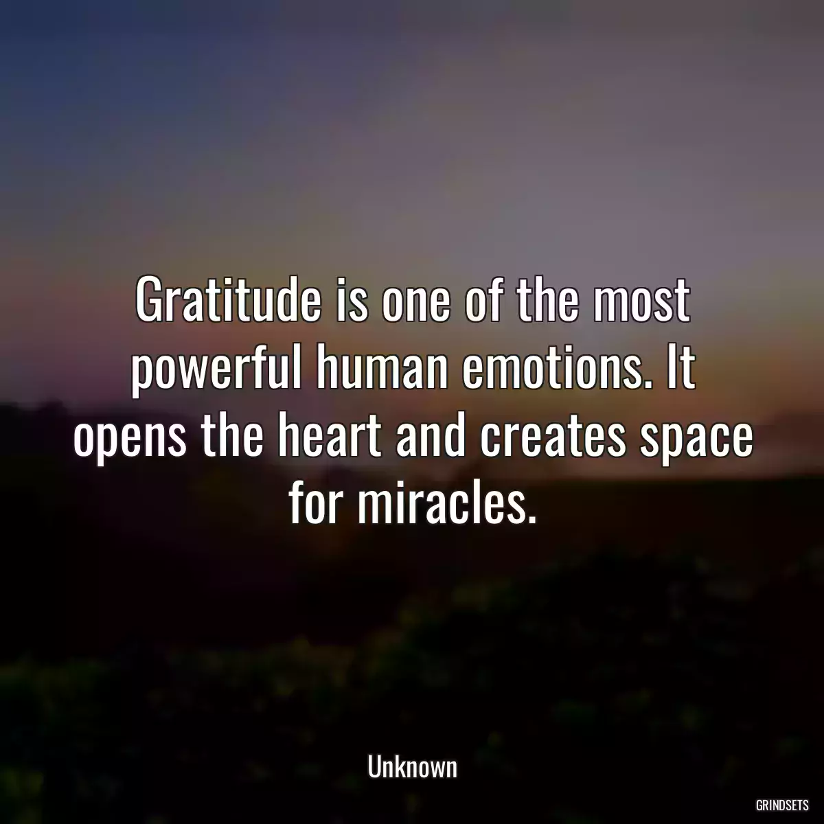 Gratitude is one of the most powerful human emotions. It opens the heart and creates space for miracles.