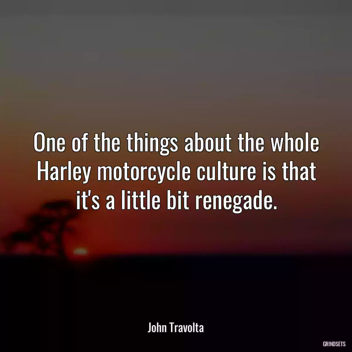 One of the things about the whole Harley motorcycle culture is that it\'s a little bit renegade.