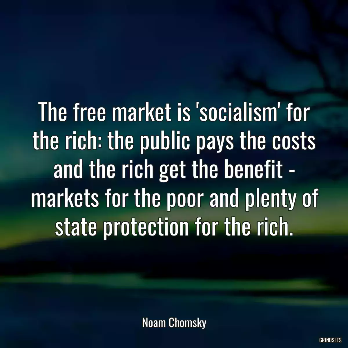 The free market is \'socialism\' for the rich: the public pays the costs and the rich get the benefit - markets for the poor and plenty of state protection for the rich.