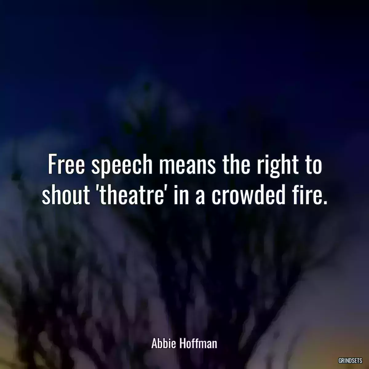 Free speech means the right to shout \'theatre\' in a crowded fire.