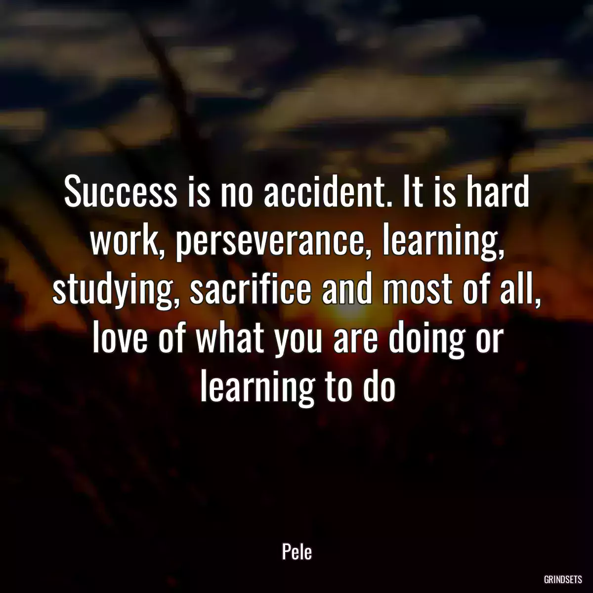 Success is no accident. It is hard work, perseverance, learning, studying, sacrifice and most of all, love of what you are doing or learning to do