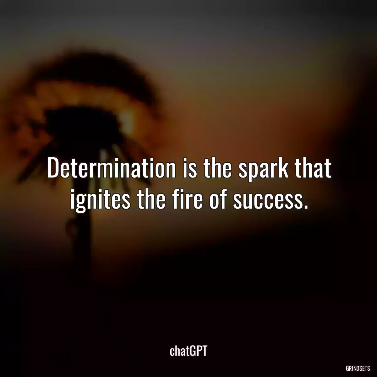 Determination is the spark that ignites the fire of success.